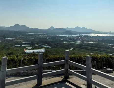 平度大澤山葡萄園引進(jìn)萊恩德土壤肥料檢測(cè)儀， 輕松掌握土壤營(yíng)養(yǎng)